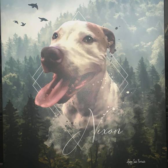 Meet your Posher, Laura - Picture 1 of 1